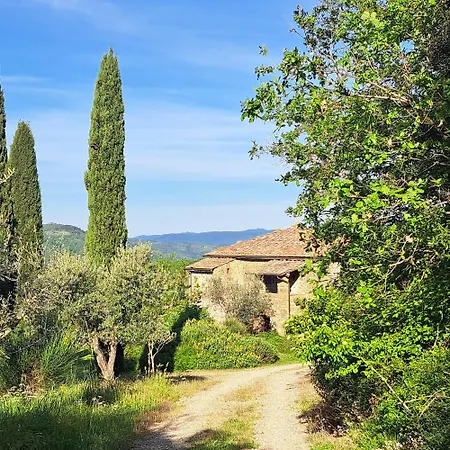 펜션 Medieval Tower With Tuscan Hills View 시비텔라인발디키아나