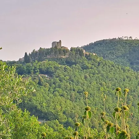 Medieval Tower With Tuscan Hills View 펜션